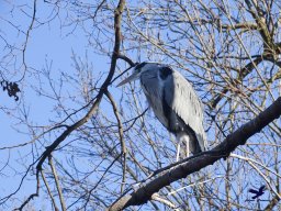 Tiergarten Schönbrunn am 27.01.2026